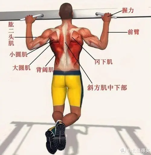 网球拍是什么物体结构类型